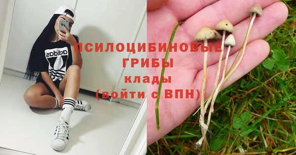 молекула духа Алзамай