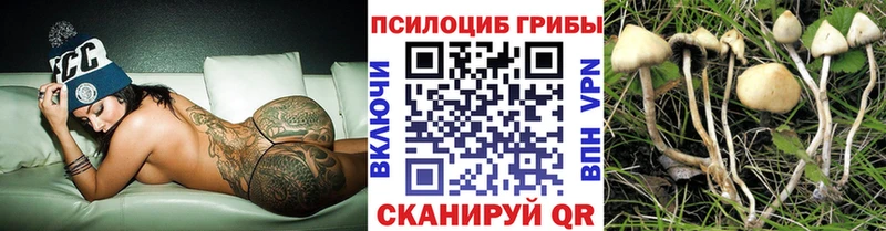 где можно купить   Находка  Псилоцибиновые грибы MAGIC MUSHROOMS 