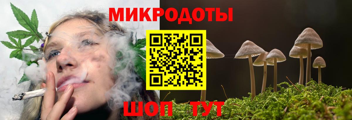 Галлюциногенные грибы MAGIC MUSHROOMS  Вход с VPN  Находка 