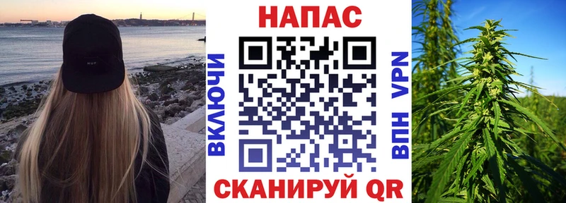 Бошки Шишки конопля  Находка 